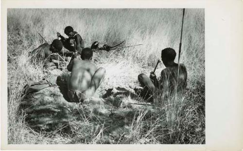 [No folder title]: "Crooked /Qui" and three other men digging for poison beetles (print is a cropped image)