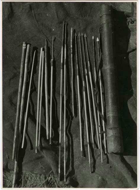 Arrows, arrow poison: Quiver with contents laid out on a kaross, including arrow shafts without points, "male" and "female" fire-sticks, two drills, two long arrows with unbarbed points, an arrow-shaft, and six arrows with metal points (print is a cropped image)