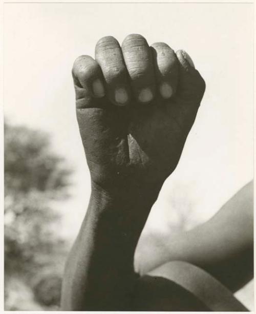 "The hunting hand signs": Person demonstrating the hunting hand signal; probably sign for a lion, with a rounded paw (print is a cropped image)