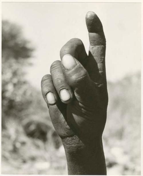 "The hunting hand signs": Person demonstrating the hunting hand signal for an unidentified animal (print is a cropped image)