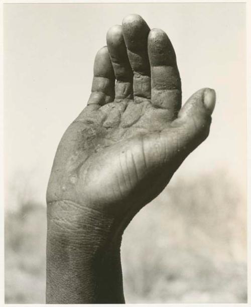 "The hunting hand signs": Person demonstrating the hunting hand signal for an unidentified animal (print is a cropped image)