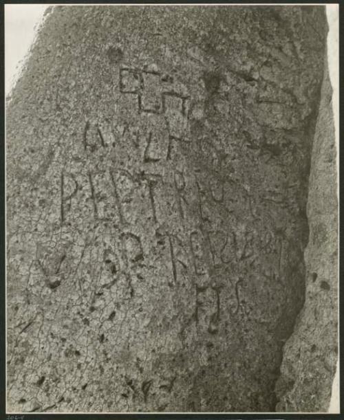 Names on baobab trees: Names carved on the trunk of a baobab tree, close-up (print is a cropped image)