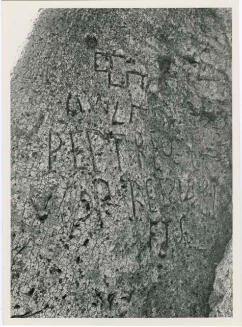 Names on baobab trees: Pegs in the baobab tree used for climbing, close-up (print is a cropped image)