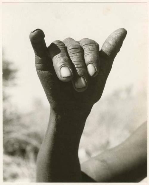 "The hunting hand signs": Person demonstrating the hunting hand signal; sign for wildebeests, which have widely spread horns (print is a cropped image)