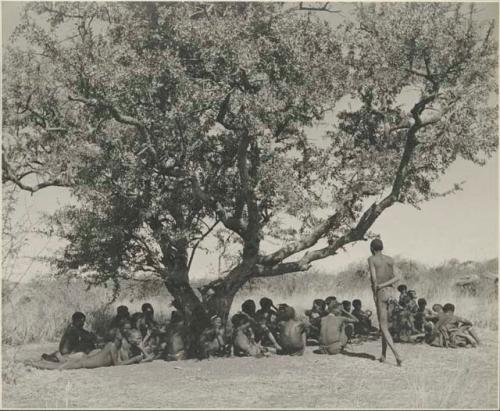 Group of people sitting under a tree, resting from a curing dance