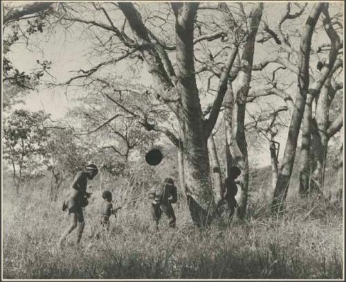 Men and boys gathering mangettis

