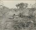 Two boys sitting on the ground making djani toys (helicopter toys)



