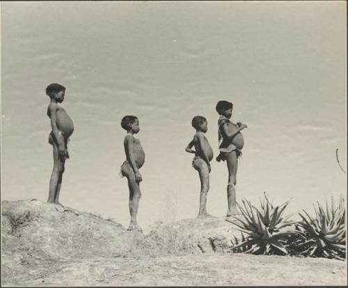 Four boys standing in profile, silhouetted against the sky