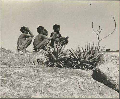 Four boys squatting by some aloe plants