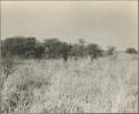 Two men walking in grass, seen from a distance
