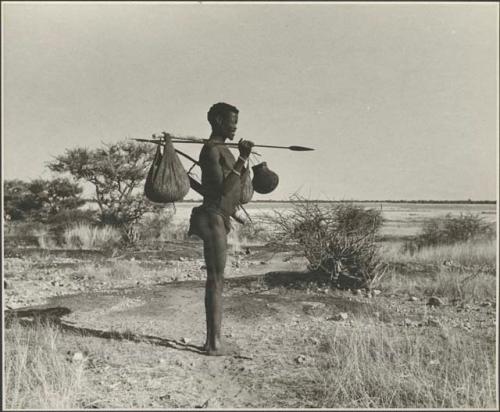 /Ti!kay standing with the pan in background carrying bags on a carrying stick; his assegai is thrust under the stick and over his right shoulder to distribute the weight