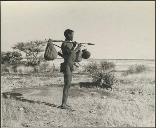 /Ti!kay standing with the pan in background carrying bags on a carrying stick; his assegai is thrust under the stick and over his right shoulder to distribute the weight