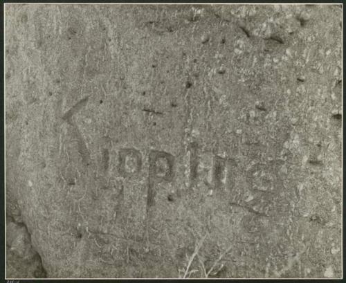 "Names on baobab trees": Name "Kipping" carved into the trunk of a baobab tree, close-up (print is a cropped image)