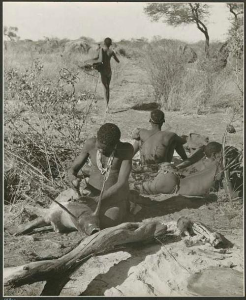 "Boys' fire": Man making a bag from a wild pig skin, with men sitting behind him (print is a cropped image)