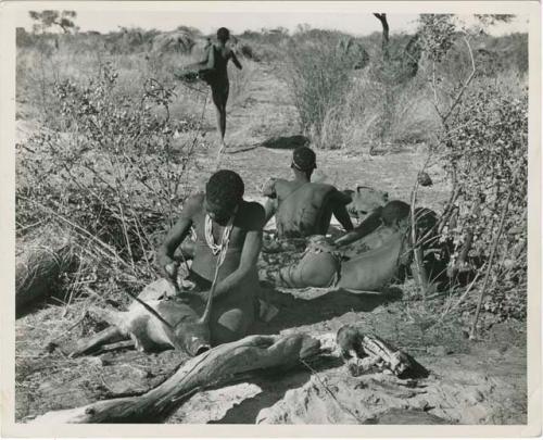 "Boys' fire": Man making a bag from a wild pig skin, with men sitting behind him (print is a cropped image)