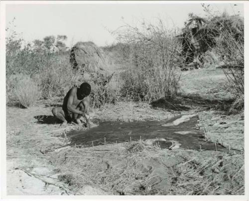 [No folder title]: Man stretching out a skin by pegging it to the ground (print is a cropped image)