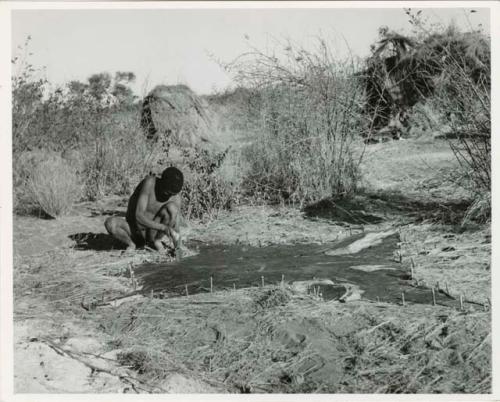 [No folder title]: Man stretching out a skin by pegging it to the ground (print is a cropped image)