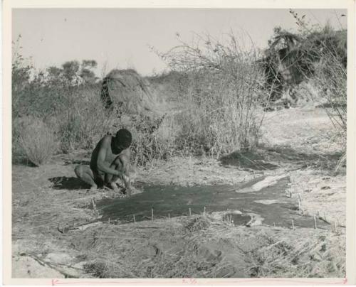 [No folder title]: Man stretching out a skin by pegging it to the ground (print is a cropped image)