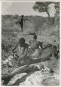 "Scraping hides, working on hides": Man making a bag from a wild pig skin, with men sitting behind him (print is a cropped image)