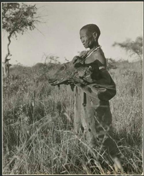 [No folder title]: "Old /Gasa" holding a wildebeest head (print is a cropped image)