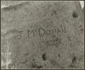 "Names on baobab trees": "J. McDonald" carved in the trunk of a baobab tree, close-up (print is a cropped image)