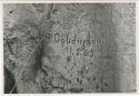 "Names on baobab trees": Name carved in the trunk of a baobab tree with date, "R. Goldman 11.5.05", close-up (print is a cropped image)