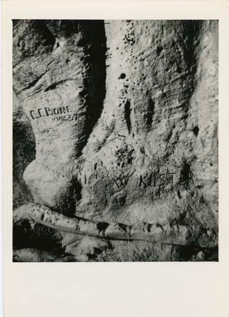 "Names on baobab trees": "C.C. Bone V.VIII.37 and W. Kuster 11.V.05" carved in the trunk of a baobab tree, close-up (print is a cropped image)