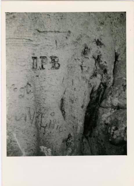 "Names on baobab trees": "D P B" carved in the trunk of a baobab tree, close-up (print is a cropped image)