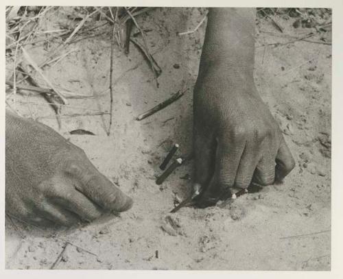 !Oukabe's hands working on sticks which will hold snare noose in sand, close-up


