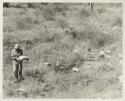 Robert Story spreading papers to dry on the grass, distant view

