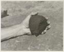 Robert Story holding a plant specimen, showing the skin

