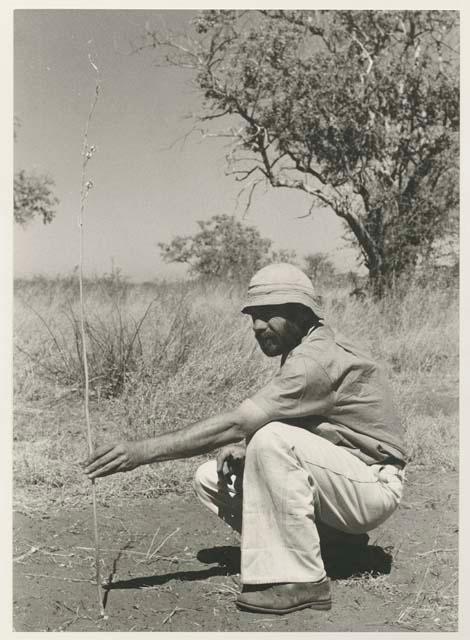 Robert Story crouching and holding a plant specimen, a tall stem of a plant
