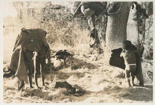 Children standing under a kaross, Di!ai standing, and Debe holding another kaross
