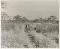 Children walking down a track the expedition trucks made in the grass