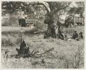 Group of people sitting under a tree, with Elizabeth Marshall Thomas standing, and expedition trucks in the background