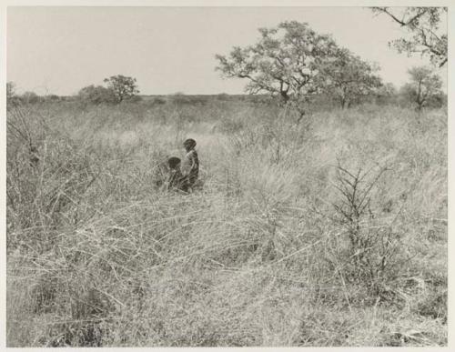 Two children in the grass, seen from a distance