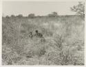 Two children in the grass, seen from a distance
