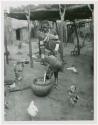 Makiena pouring milk from a calabash into a bowl (print is a cropped image)