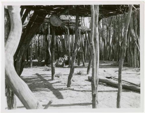 Inside Muremi's kraal; shows the outside fence, the roofs for shade, and a churn (print is a cropped image)