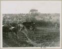 Boy going to milk in Muremi's kraal (print is a cropped image)