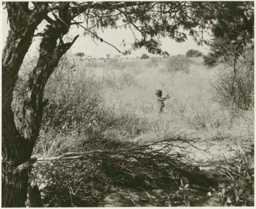 N!whakwe standing in the grass holding a stick (print is a cropped image)