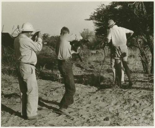 John Marshall pointing a gun at a mamba in a hole and Laurence Marshall taking a picture; two other unidentified men standing to the right (print is a cropped image)