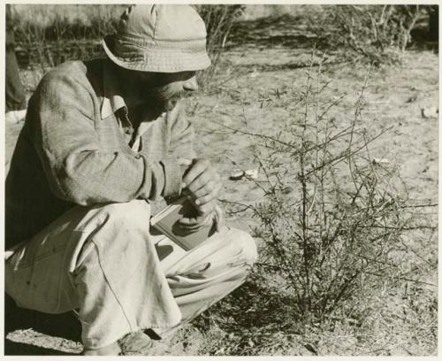 Robert Story crouching beside a plant (print is a cropped image)