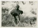 Tsekue with N!whakwe on her back leaning over to pick up a tsama melon (print is a cropped image)