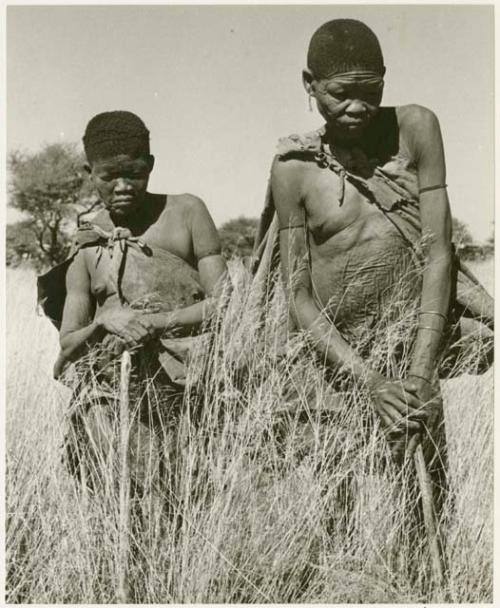 /Twikwe and DaSi!Na walking in the grass (print is a cropped image)