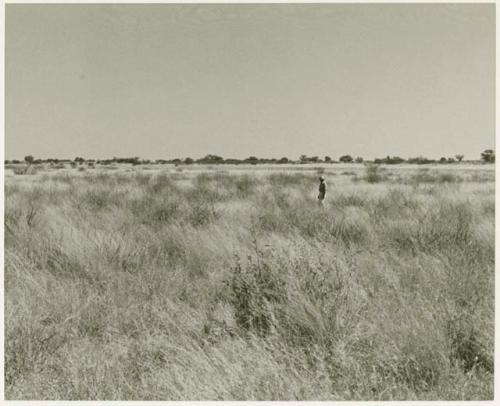 Landscape with Robert Story in the distance (print is a cropped image)