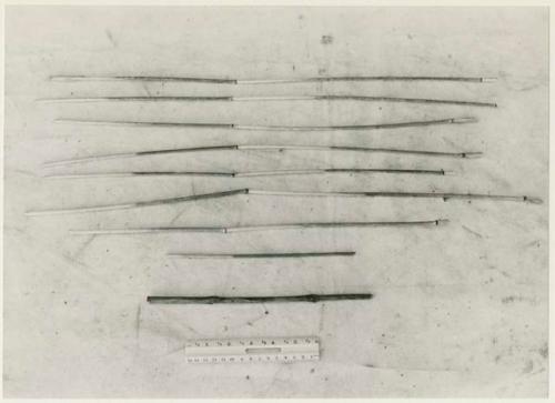 Reeds for making arrow shafts and firesticks on a white background, with a ruler for measurement (print is a cropped image)