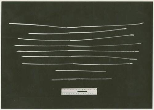 Reeds for making arrow shafts and firesticks on a black background, with a ruler for measurement (print is a cropped image)