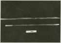 Two digging sticks on a black background, with a ruler for measurement (print is a cropped image)