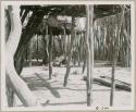 Inside Muremi's kraal; shows the outside fence, the roofs for shade, and a churn (print is a cropped image)